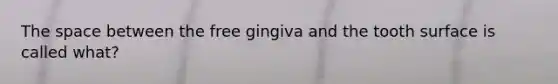 The space between the free gingiva and the tooth surface is called what?
