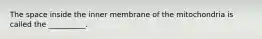 The space inside the inner membrane of the mitochondria is called the __________.