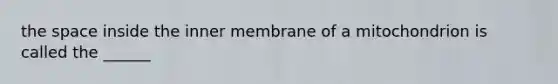 the space inside the inner membrane of a mitochondrion is called the ______