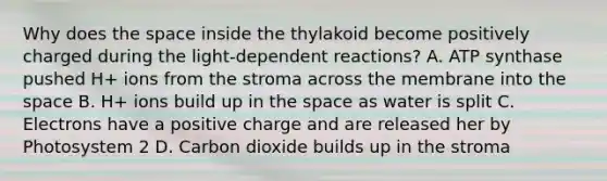 Why does the space inside the thylakoid become positively charged during the light-dependent reactions? A. ATP synthase pushed H+ ions from the stroma across the membrane into the space B. H+ ions build up in the space as water is split C. Electrons have a positive charge and are released her by Photosystem 2 D. Carbon dioxide builds up in the stroma