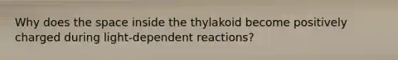 Why does the space inside the thylakoid become positively charged during light-dependent reactions?