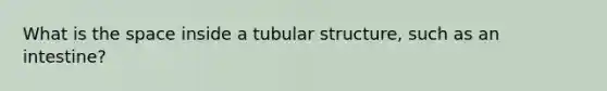 What is the space inside a tubular structure, such as an intestine?