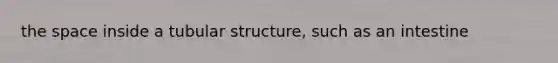 <a href='https://www.questionai.com/knowledge/k0Lyloclid-the-space' class='anchor-knowledge'>the space</a> inside a tubular structure, such as an intestine