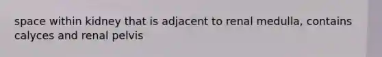 space within kidney that is adjacent to renal medulla, contains calyces and renal pelvis
