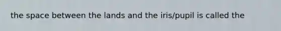 the space between the lands and the iris/pupil is called the