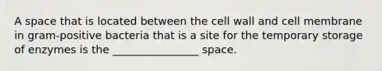 A space that is located between the cell wall and cell membrane in gram-positive bacteria that is a site for the temporary storage of enzymes is the ________________ space.