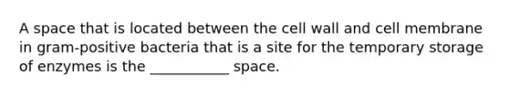 A space that is located between the cell wall and cell membrane in gram-positive bacteria that is a site for the temporary storage of enzymes is the ___________ space.