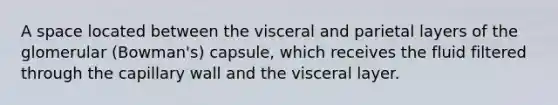 A space located between the visceral and parietal layers of the glomerular (Bowman's) capsule, which receives the fluid filtered through the capillary wall and the visceral layer.