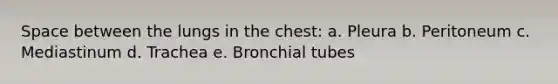 Space between the lungs in the chest: a. Pleura b. Peritoneum c. Mediastinum d. Trachea e. Bronchial tubes