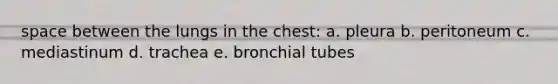 space between the lungs in the chest: a. pleura b. peritoneum c. mediastinum d. trachea e. bronchial tubes