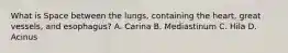 What is Space between the lungs, containing the heart, great vessels, and esophagus? A. Carina B. Mediastinum C. Hila D. Acinus