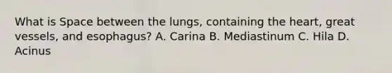 What is Space between the lungs, containing the heart, great vessels, and esophagus? A. Carina B. Mediastinum C. Hila D. Acinus