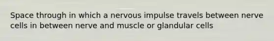 Space through in which a nervous impulse travels between nerve cells in between nerve and muscle or glandular cells