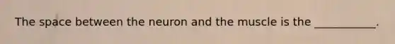 The space between the neuron and the muscle is the ___________.