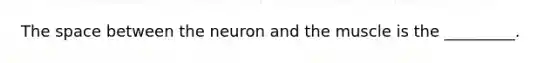 The space between the neuron and the muscle is the _________.