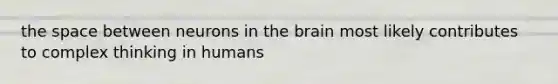 the space between neurons in the brain most likely contributes to complex thinking in humans