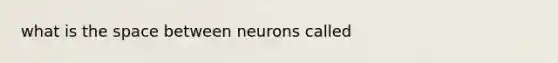 what is the space between neurons called