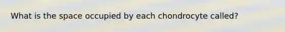 What is the space occupied by each chondrocyte called?