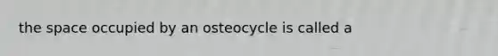 the space occupied by an osteocycle is called a