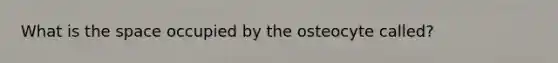 What is the space occupied by the osteocyte called?