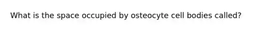 What is the space occupied by osteocyte cell bodies called?