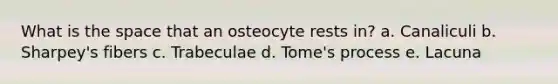 What is the space that an osteocyte rests in? a. Canaliculi b. Sharpey's fibers c. Trabeculae d. Tome's process e. Lacuna