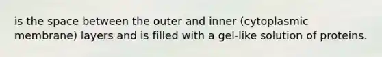 is the space between the outer and inner (cytoplasmic membrane) layers and is filled with a gel-like solution of proteins.