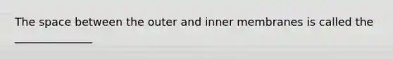 The space between the outer and inner membranes is called the ______________