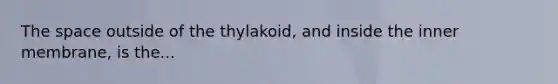 The space outside of the thylakoid, and inside the inner membrane, is the...