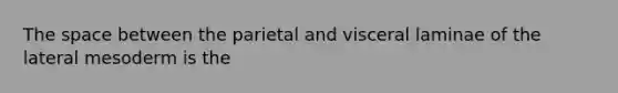 The space between the parietal and visceral laminae of the lateral mesoderm is the