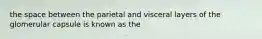 the space between the parietal and visceral layers of the glomerular capsule is known as the