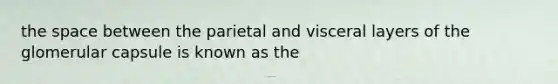 the space between the parietal and visceral layers of the glomerular capsule is known as the