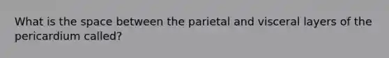 What is <a href='https://www.questionai.com/knowledge/k0Lyloclid-the-space' class='anchor-knowledge'>the space</a> between the parietal and visceral layers of the pericardium called?