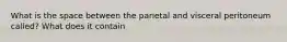 What is the space between the parietal and visceral peritoneum called? What does it contain