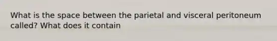 What is the space between the parietal and visceral peritoneum called? What does it contain