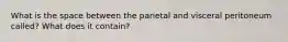 What is the space between the parietal and visceral peritoneum called? What does it contain?