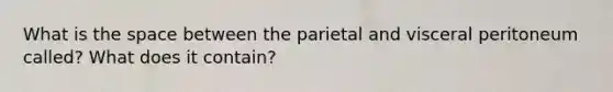 What is <a href='https://www.questionai.com/knowledge/k0Lyloclid-the-space' class='anchor-knowledge'>the space</a> between the parietal and visceral peritoneum called? What does it contain?