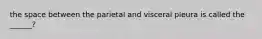 the space between the parietal and visceral pleura is called the ______?