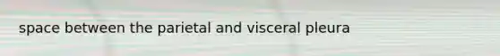 space between the parietal and visceral pleura