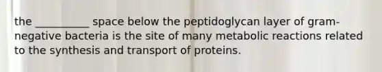 the __________ space below the peptidoglycan layer of gram-negative bacteria is the site of many metabolic reactions related to the synthesis and transport of proteins.