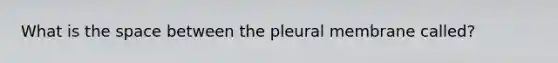 What is the space between the pleural membrane called?