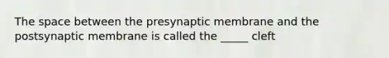 <a href='https://www.questionai.com/knowledge/k0Lyloclid-the-space' class='anchor-knowledge'>the space</a> between the presynaptic membrane and the postsynaptic membrane is called the _____ cleft