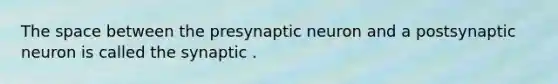 The space between the presynaptic neuron and a postsynaptic neuron is called the synaptic .