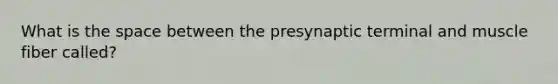 What is the space between the presynaptic terminal and muscle fiber called?