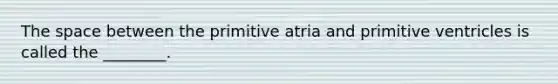 The space between the primitive atria and primitive ventricles is called the ________.