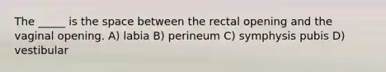 The _____ is the space between the rectal opening and the vaginal opening. A) labia B) perineum C) symphysis pubis D) vestibular