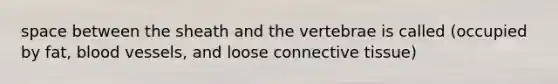 space between the sheath and the vertebrae is called (occupied by fat, blood vessels, and loose connective tissue)