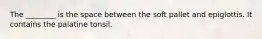 The ________ is the space between the soft pallet and epiglottis. It contains the palatine tonsil.