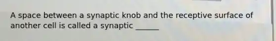 A space between a synaptic knob and the receptive surface of another cell is called a synaptic ______