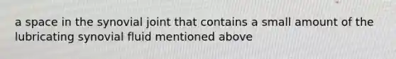 a space in the synovial joint that contains a small amount of the lubricating synovial fluid mentioned above